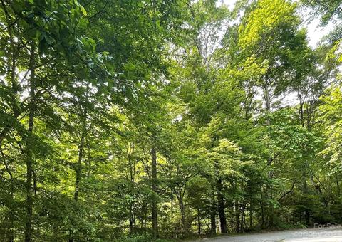 0 Barber Rd, Zirconia, NC 28790