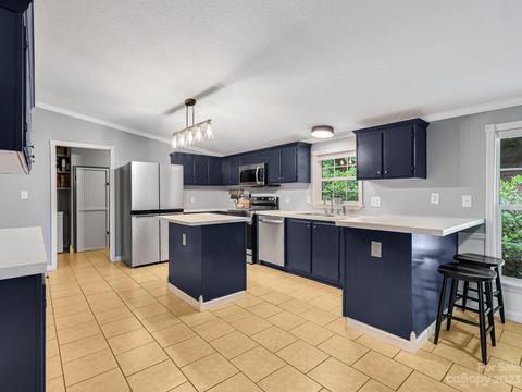 30 Danielle Dr, Penrose, NC 28766 photo 14