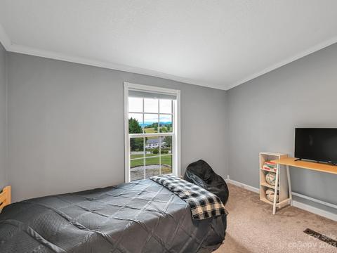 30 Danielle Dr, Penrose, NC 28766 photo 30