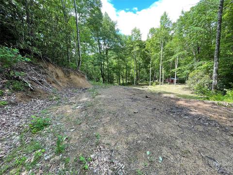 00000 Garren Creek Rd, Fairview, NC 28730