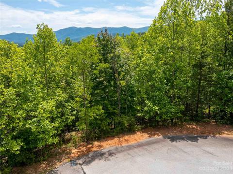 Wee Burn Road, Mill Spring, NC 28756 photo 3