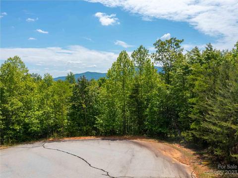 Wee Burn Road, Mill Spring, NC 28756 photo 2