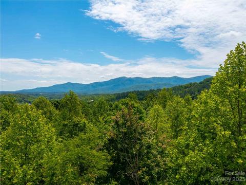 Wee Burn Road, Mill Spring, NC 28756 photo 7