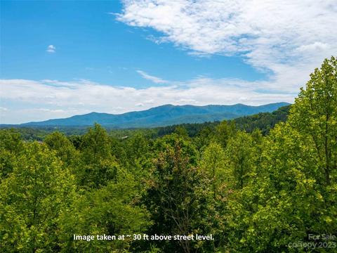 Wee Burn Road, Mill Spring, NC 28756 photo 6