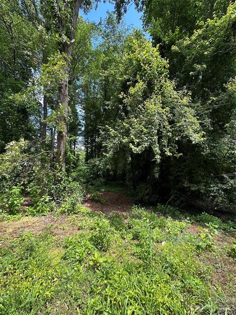 0 Brandon Rd, Morganton, NC 28655 photo 5