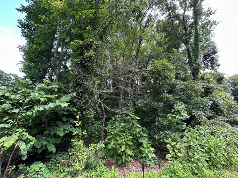 0 Brandon Rd, Morganton, NC 28655 photo 3