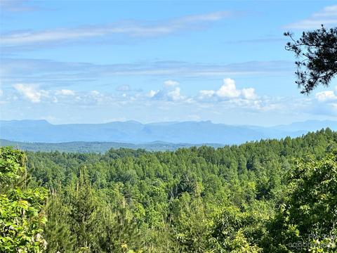 1208 Mountain Vista 319 Dr #319, Nebo, NC 28761