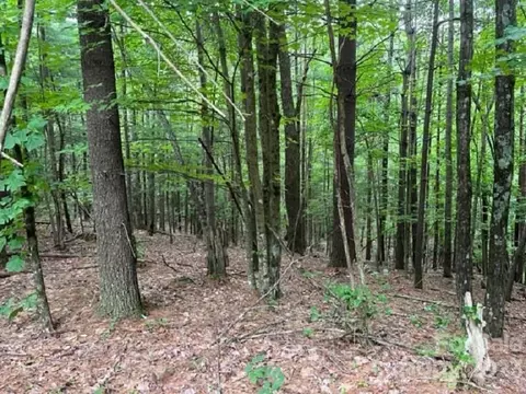 0 Fire Tower 7 Rd #7, Bostic, NC 28018 photo 10