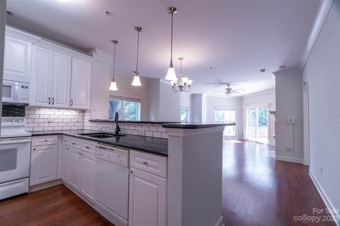 731 Peninsula Dr, Davidson, NC 28036