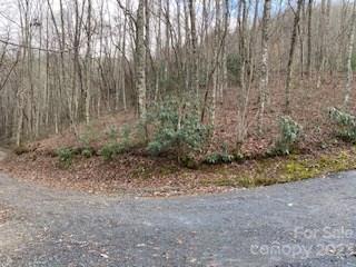Lot 7 Red Wolfe Drive, Whittier, NC 28789