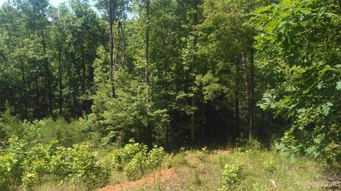 3 Falls Drive, Mill Spring, NC 28756 photo 10