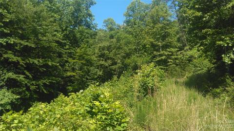 3 Falls Drive, Mill Spring, NC 28756 photo 3