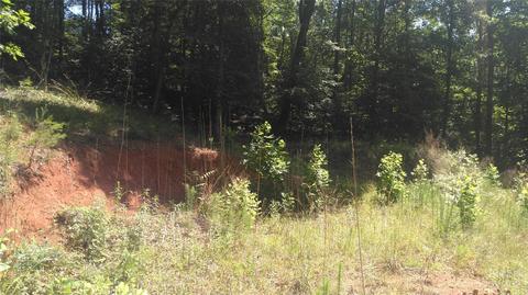 3 Falls Drive, Mill Spring, NC 28756 photo 7