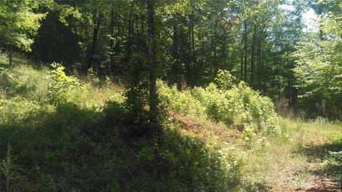 3 Falls Drive, Mill Spring, NC 28756 photo 6