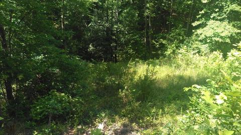 3 Falls Drive, Mill Spring, NC 28756 photo 5