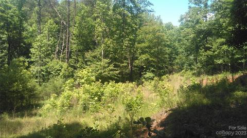 3 Falls Drive, Mill Spring, NC 28756 photo 11