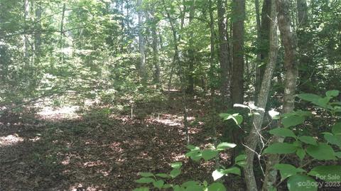 3 Falls Drive, Mill Spring, NC 28756 photo 8