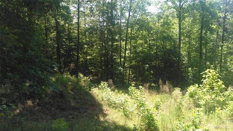 3 Falls Drive, Mill Spring, NC 28756 photo 9