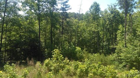 3 Falls Drive, Mill Spring, NC 28756