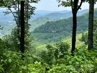C76 Amanugi C76 Trail #C76, Maggie Valley, NC 28751