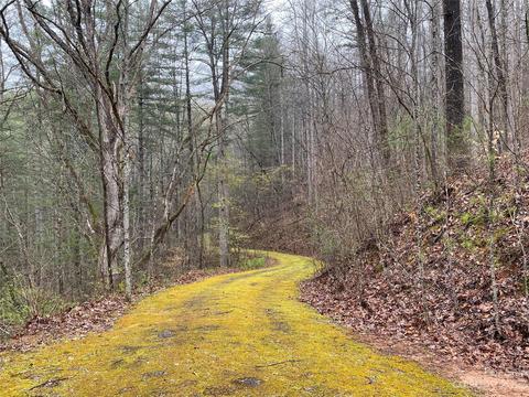 Tbd Starling Lane, Sylva, NC 28779