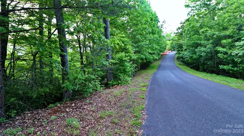 Tbd Hawks Nest Trail, Lake Lure, NC 28746