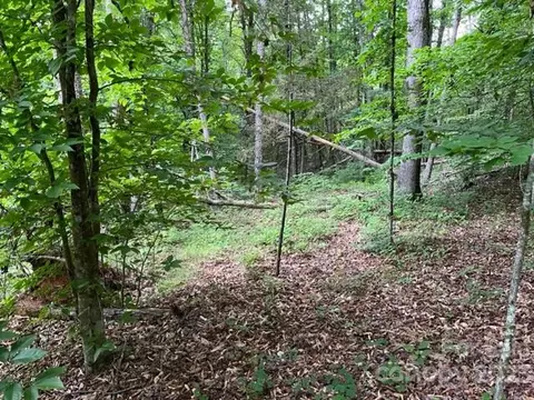0 Chisholm Trl, Rutherfordton, NC 87139