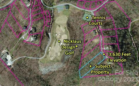 Steeplebush Court, Tuckasegee, NC 28783