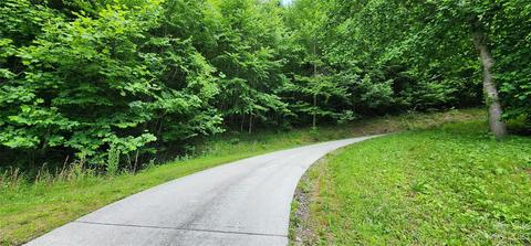 00 Jasper Lea Dr, Sylva, NC 28779