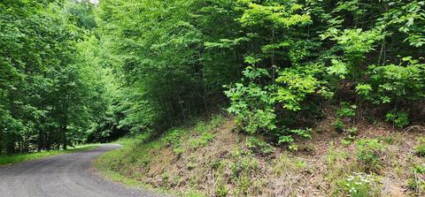 00 Jasper Lea Dr, Sylva, NC 28779 photo 5