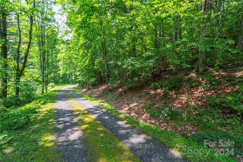 00 Baccus Siding Rd, Green Mountain, NC 28740