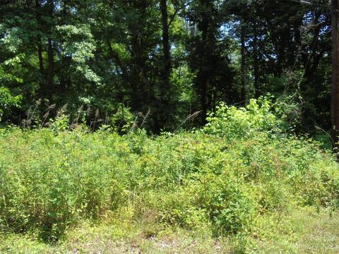 0 Hollins Dr, Salisbury, NC 28144