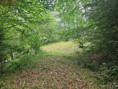 Peaceful Lane, Clyde, NC 28721