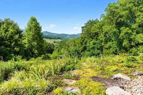 20 Piney Arbor Cv, Marshall, NC 28753 photo 34