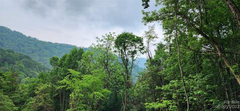 0 Poplar Cove Rd, Clyde, NC 28721