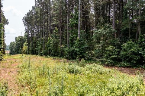 0 Bert Yarbro Rd, Vale, NC 28168 photo 4