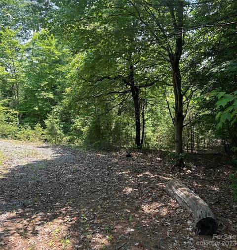 242 Bulltown Dr, Purlear, NC 28665 photo 4