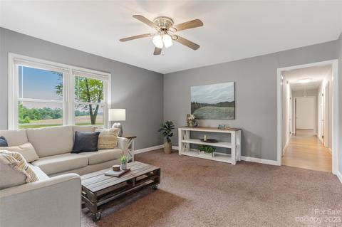 274 Mcentire Rd, Tryon, NC 28782 photo 19