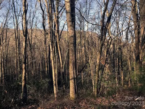 26 Holly 262 Rd #26/2, Sapphire, NC 28774