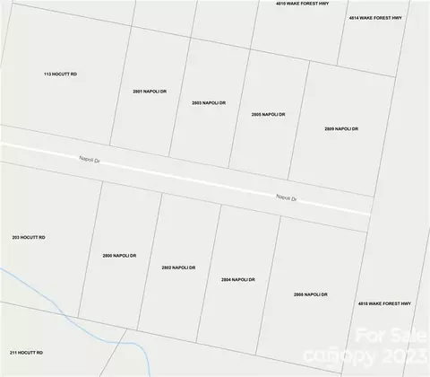 Napoli Drive, Durham, NC 27703 photo 2