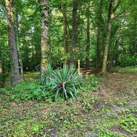 10179 Robert Bost Rd, Midland, NC 28107