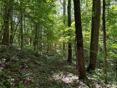 00 Old Country 309 Rd #309, Waynesville, NC 28786