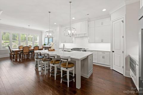19608 Olde Spring Ct, Cornelius, NC 28031 photo 9
