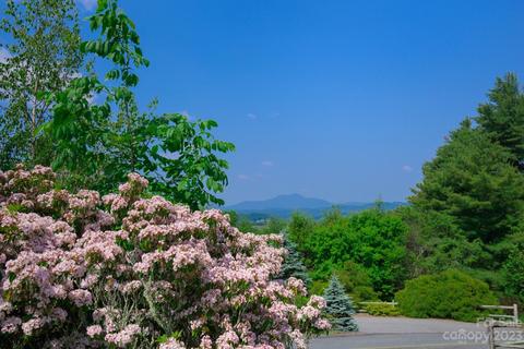156 High Peak Dr, Boone, NC 28607 photo 1