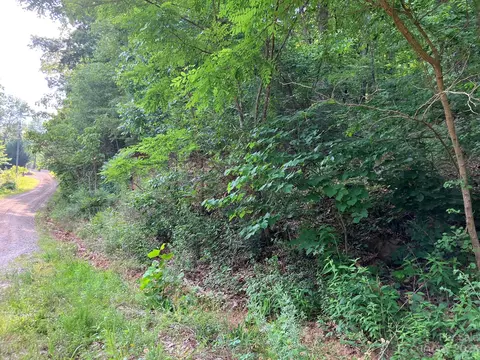 00 Roberts Lot 454 Trl #LOT 454, Lake Lure, NC 28746