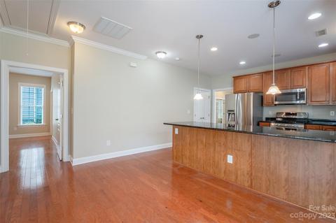18126 Ebenezer Dr, Cornelius, NC 28031 photo 15
