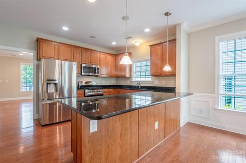 18126 Ebenezer Dr, Cornelius, NC 28031 photo 10