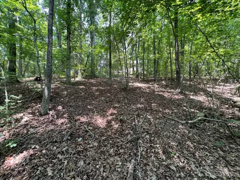 2206 Old Camden Rd, Monroe, NC 28110 photo 6