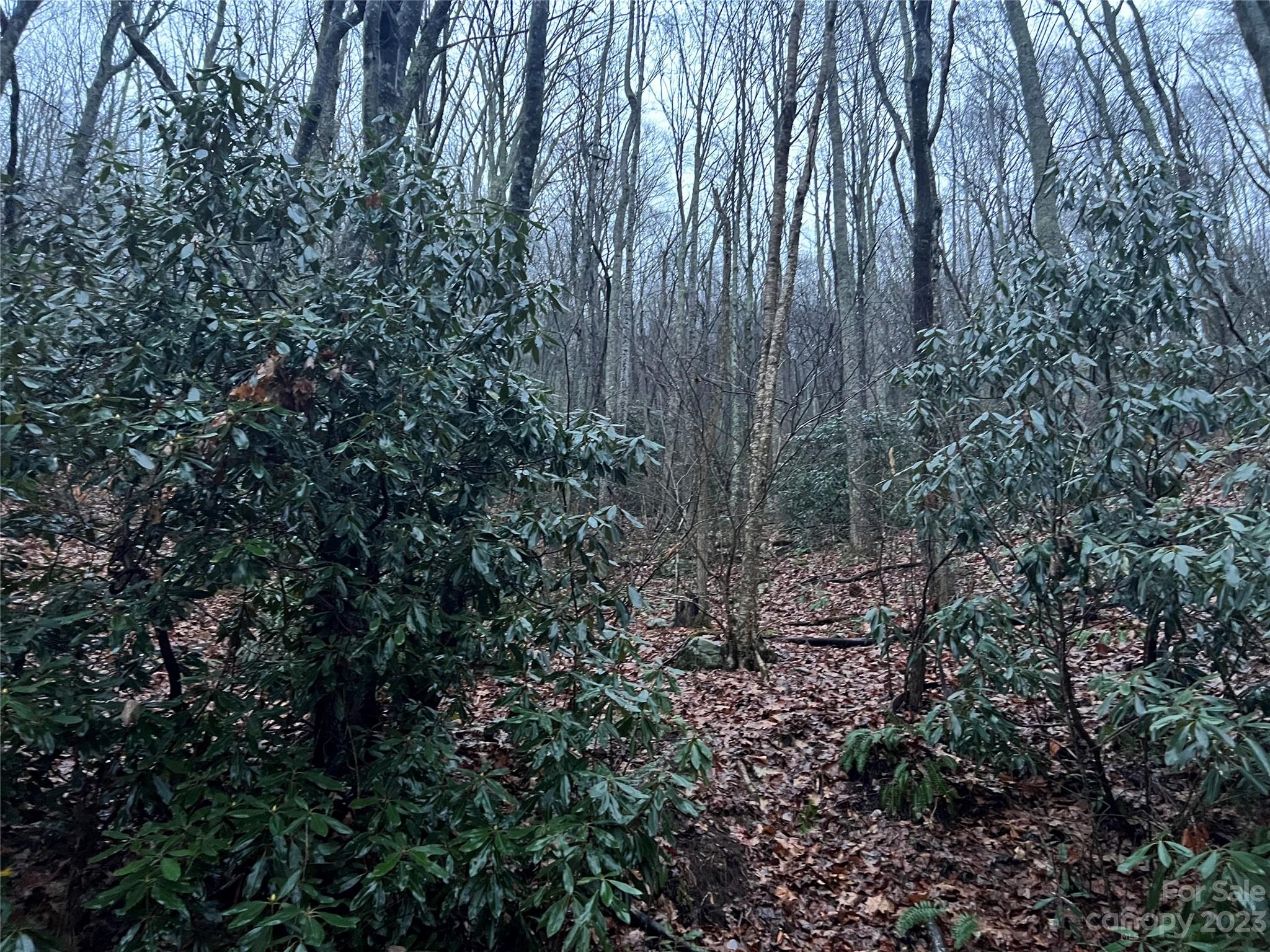 00 Wildflower Cove 18 Rd Unit 18  