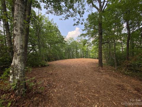 00 Tomahawk Trl, Sylva, NC 28779 photo 7